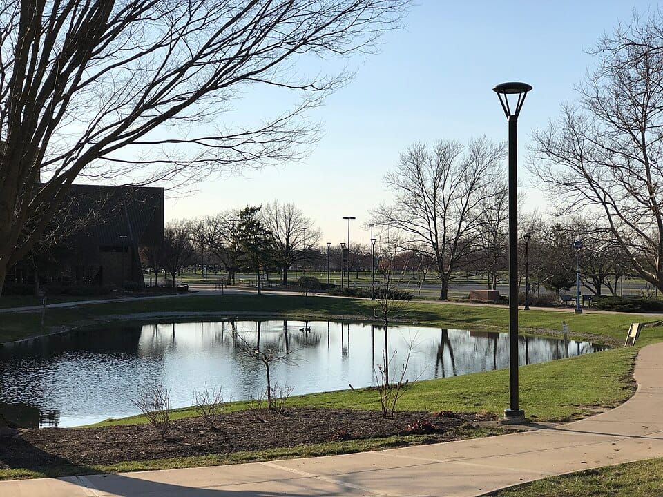 University Pond