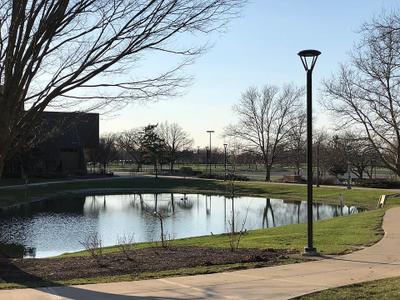 University Pond