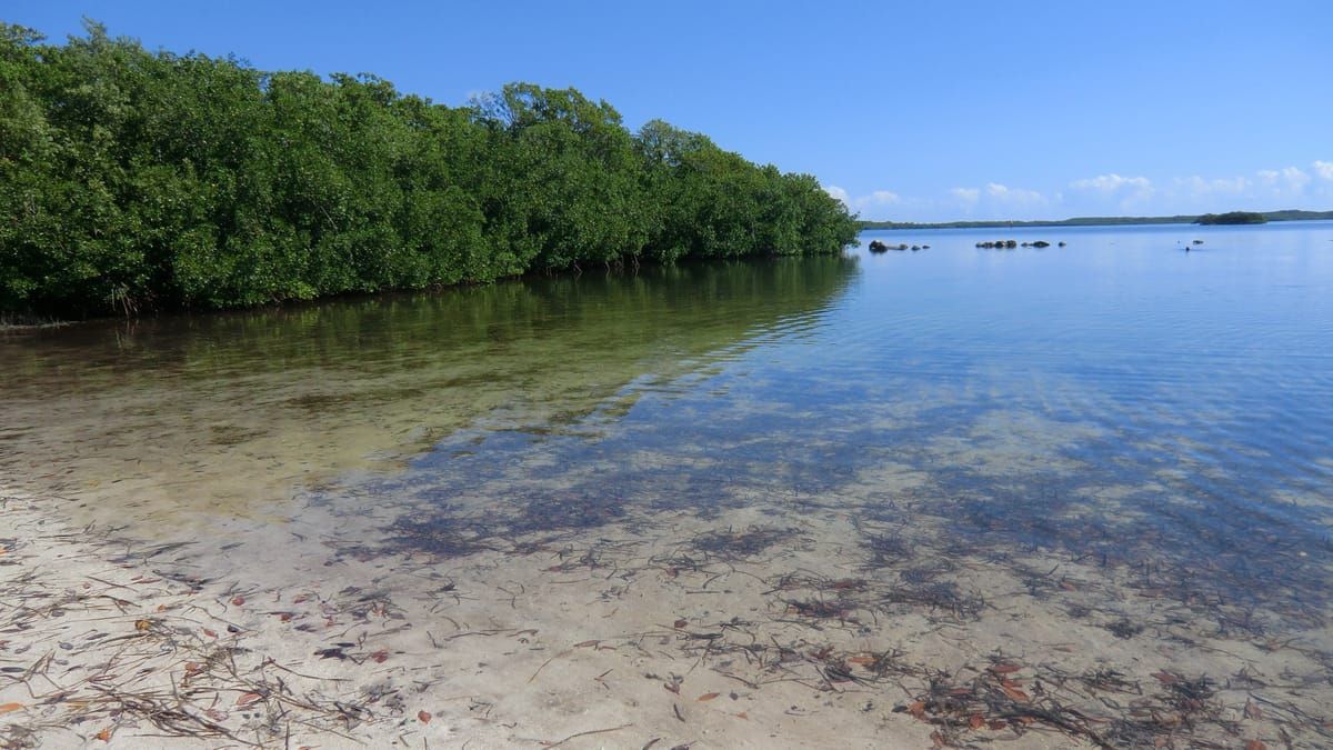 John Pennekamp Coral Reef State Park