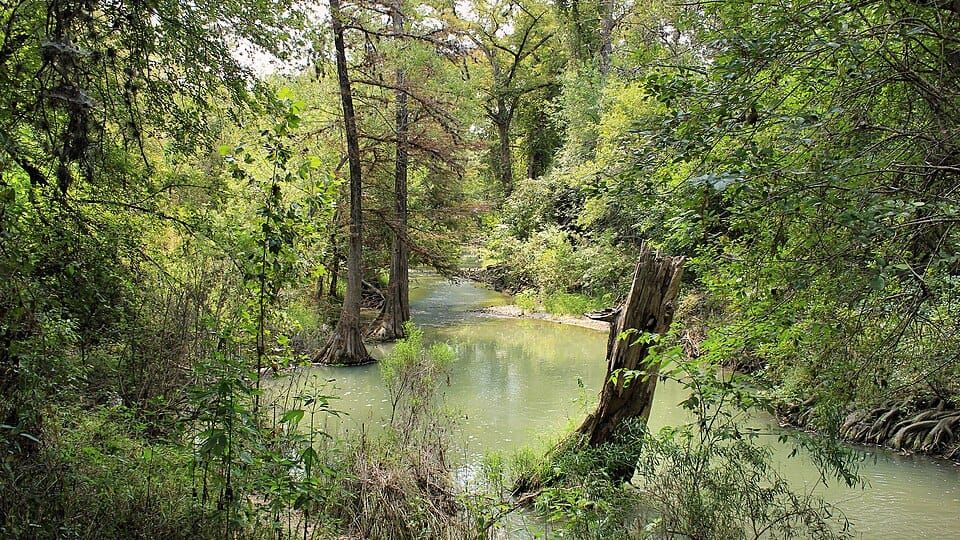 Medina River Natural Area
