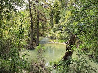 Medina River Natural Area