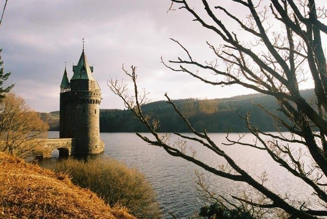 Tower Lake