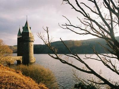 Tower Lake
