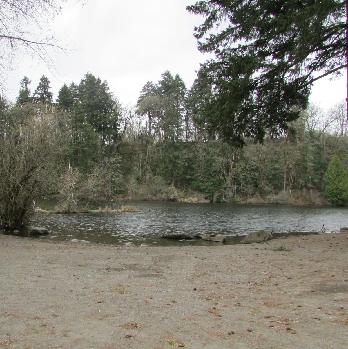 Lake Fenwick