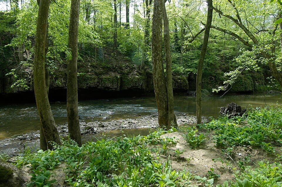 Muscatatuck River
