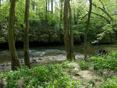 Muscatatuck River
