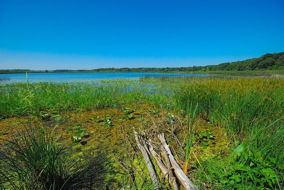 Pickerel Lake