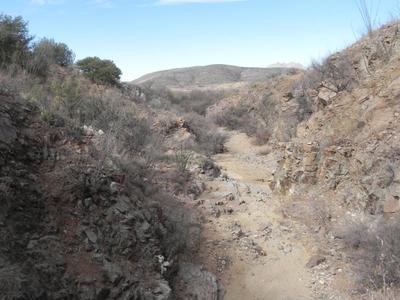 Sonoita Creek State Natural Area