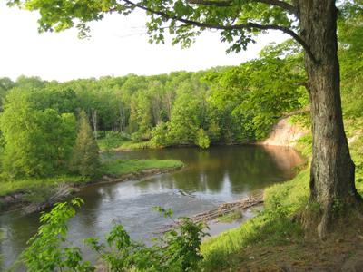 Suspension Bridge, Manistee River Trail