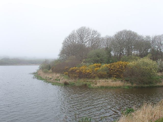 Lower Tamar Lake