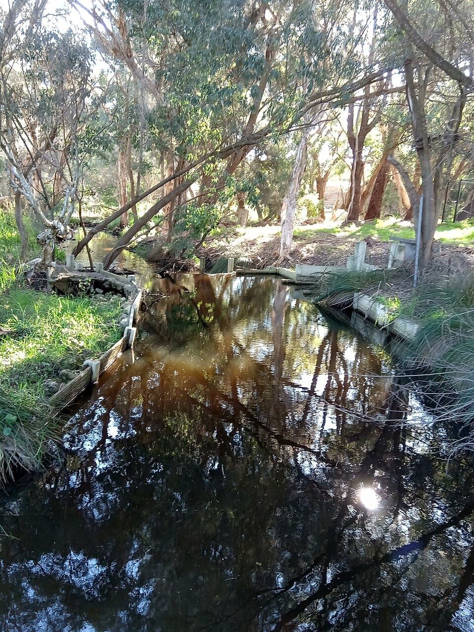 Bull Creek