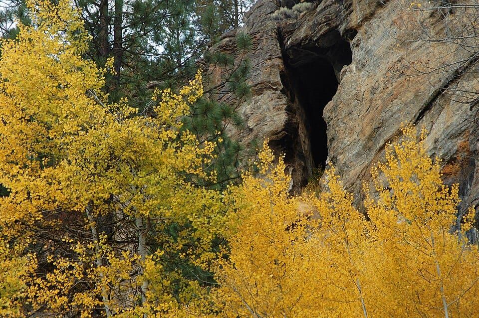Sprague River