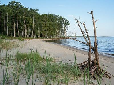 Neuse River Trail