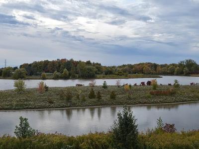 Columbia Lake