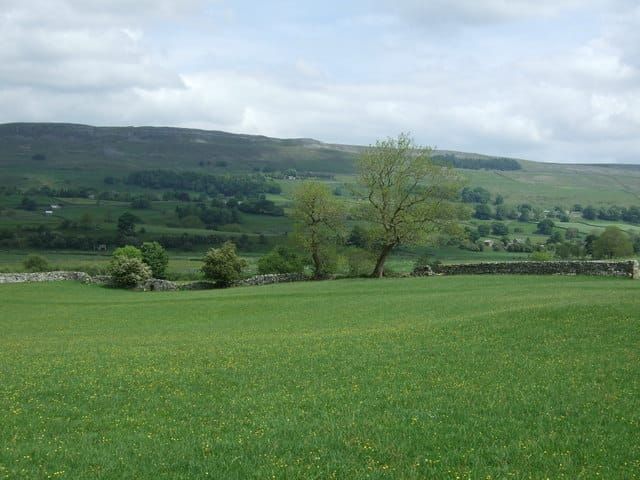West Marks Springs