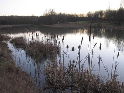 Oakthorpe Lake