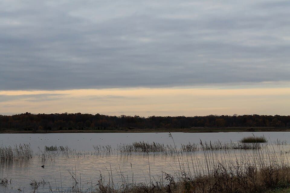 Woodland Beach State Wildlife Management Area