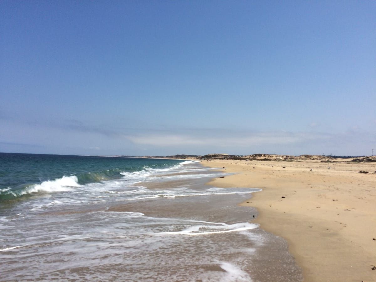 Monterey State Beach