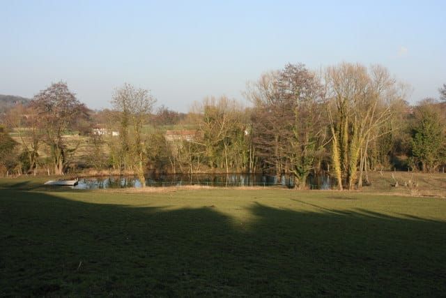 Learn Pond