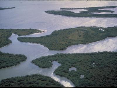 Canaveral National Seashore
