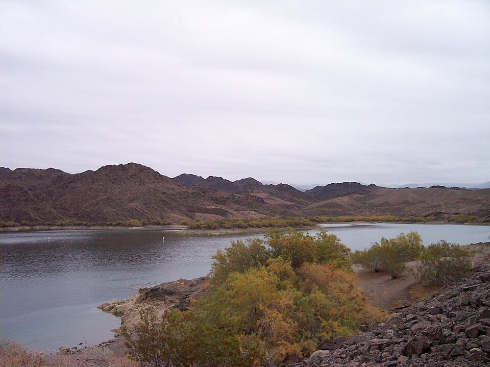 Davis Cove