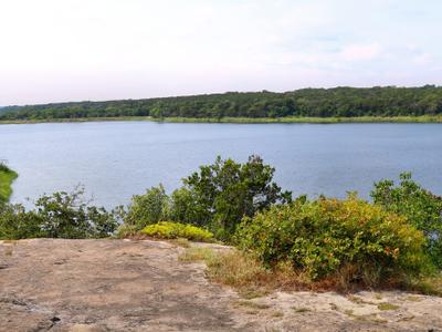 Beal Park Lake