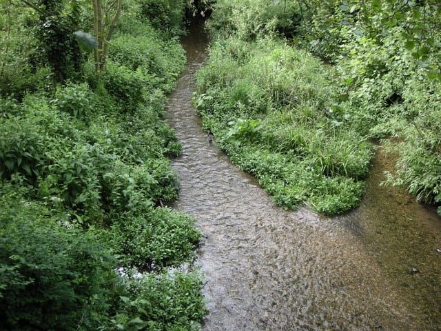 River Bulbourne