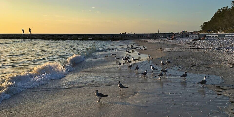 Cortez Beach