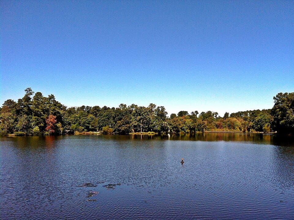 Bridges Lake