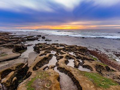 La Jolla Tide Pools