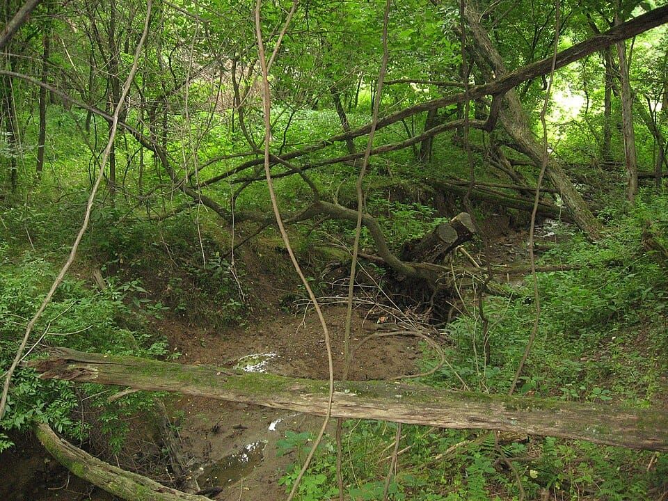 Canonsburg Lake Spillway