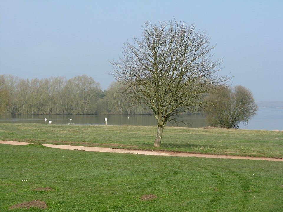 Gaynes Cove