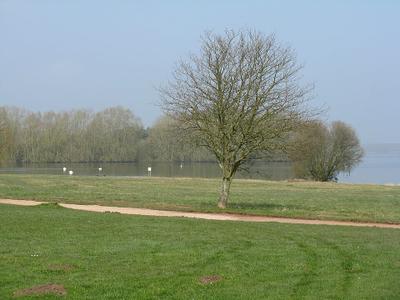 Gaynes Cove
