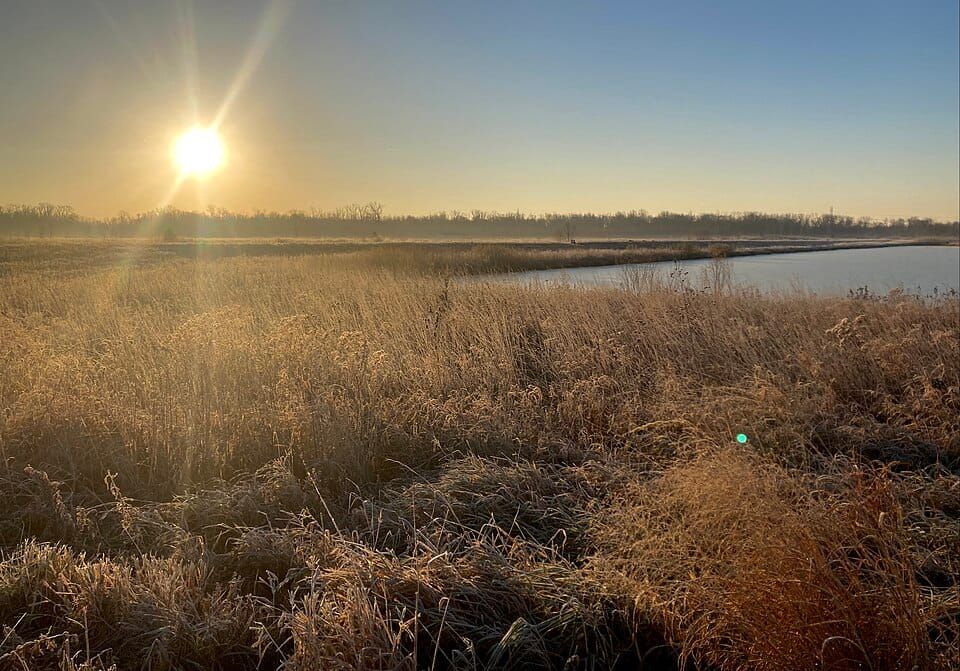 Covington Lake