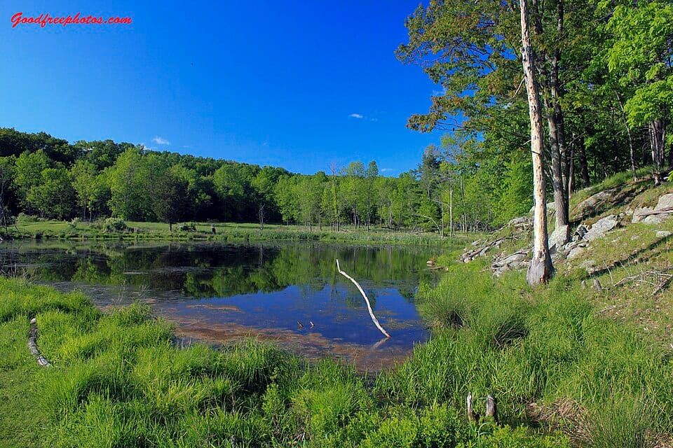 Wellesley Island State Park