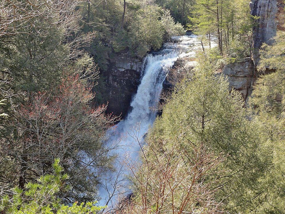 Piney Creek