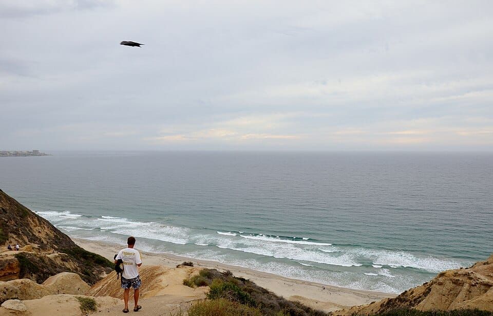 Sumner Canyon