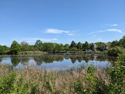 Pleasure Lake Park