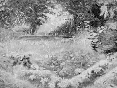 Woodland Lake