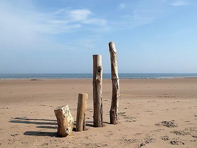 Cheswick Sands