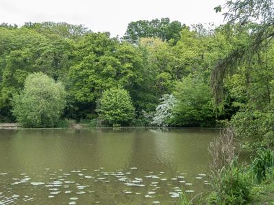 Hadley Lake