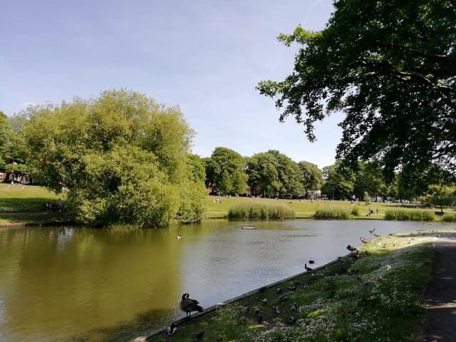 Greenbank Park Lake