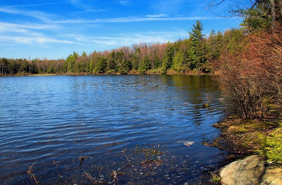 Sones Pond