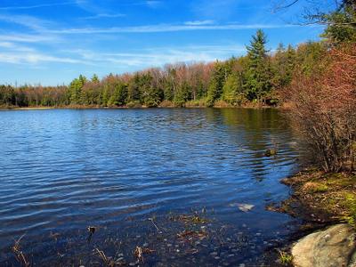Sones Pond