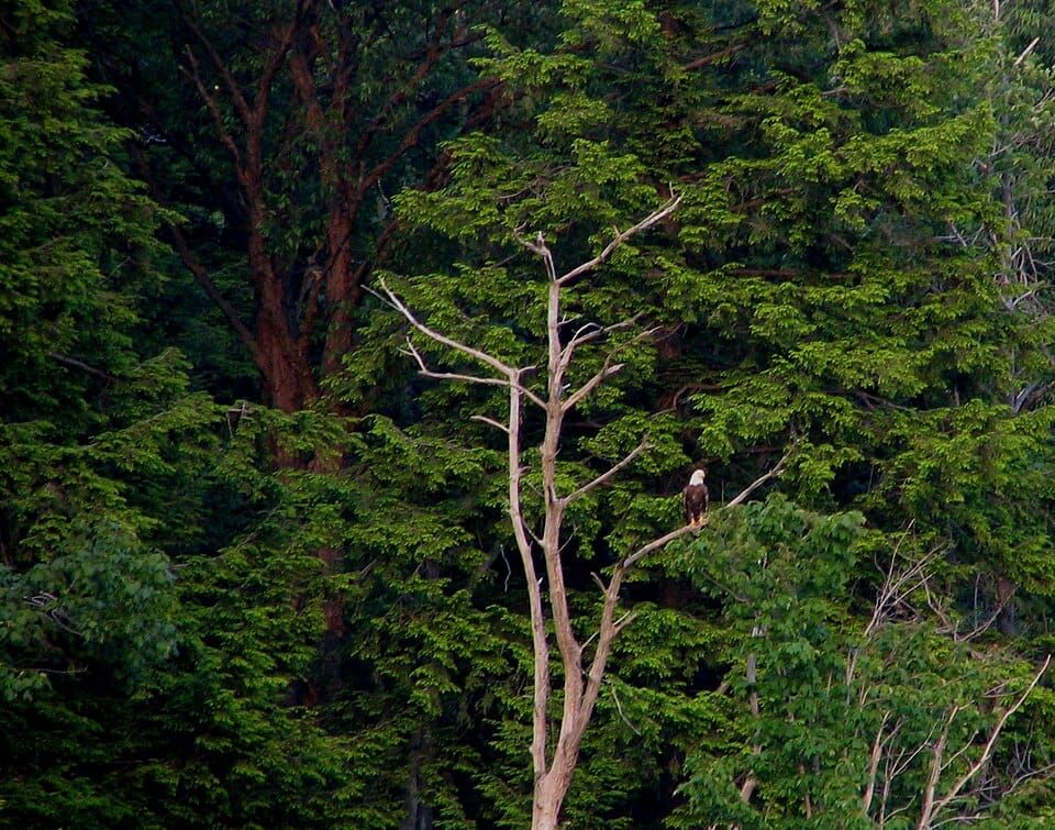 Eagle Lake