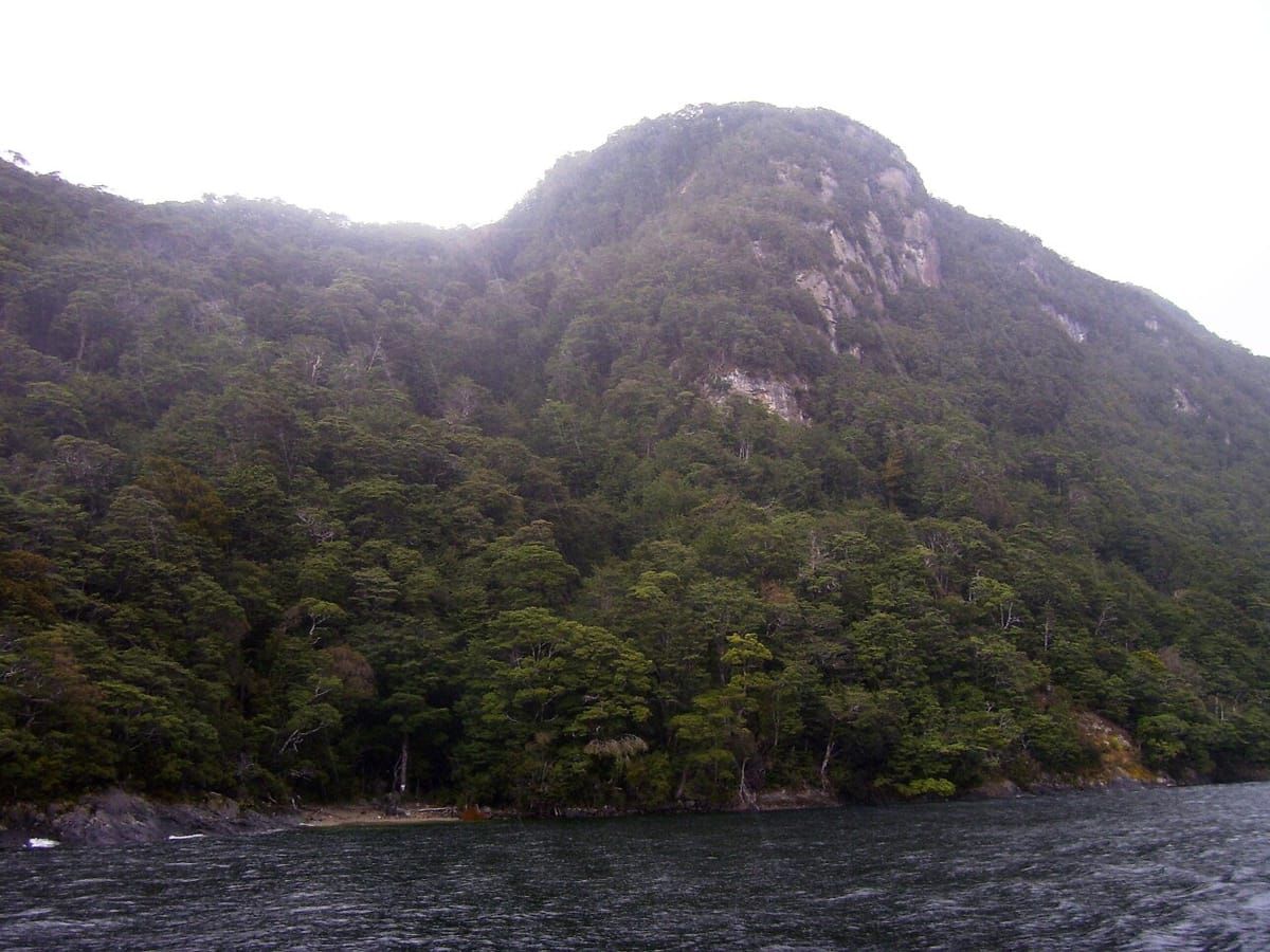 Pomona Lake