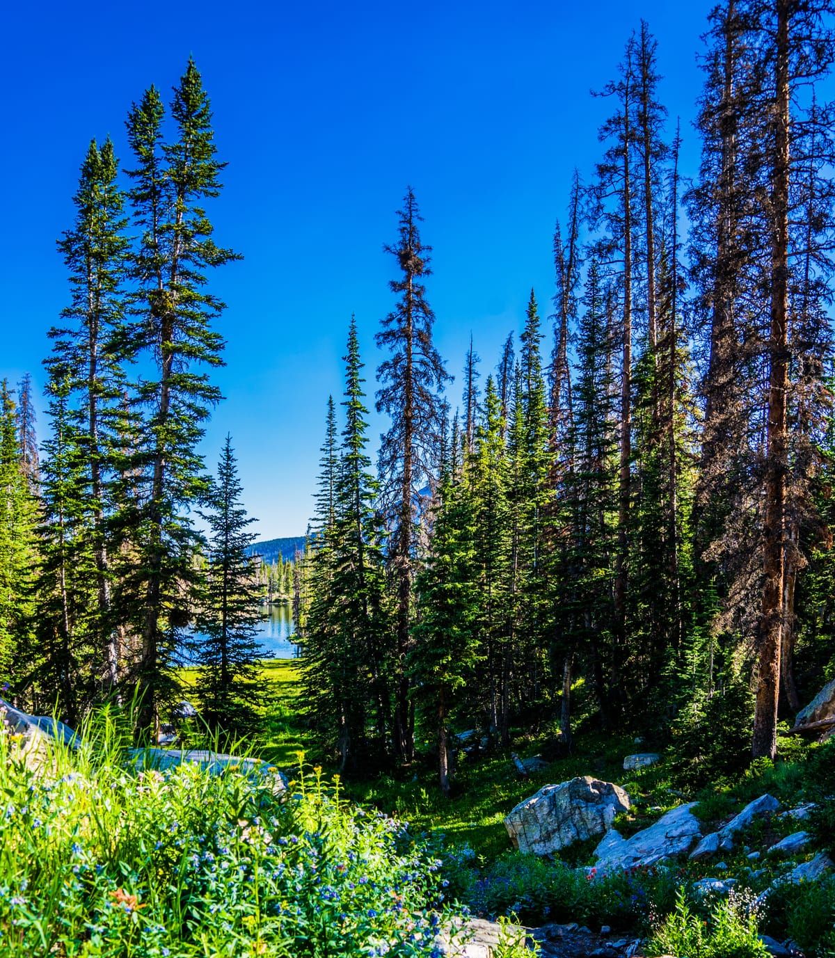Ruth Lake
