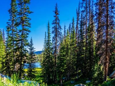 Ruth Lake