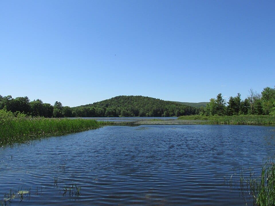 Leverett Pond