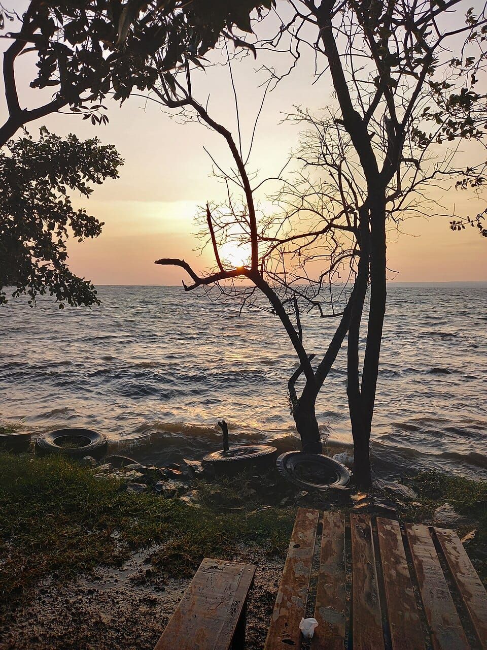 Victoria Lake